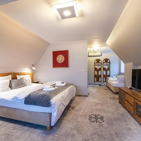 Hotel Zywiecki Medical & Sport Zywiec 4*