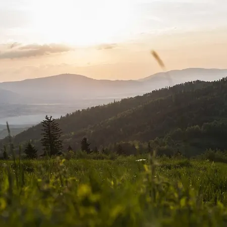 Zywiecki Medical & Sport Zywiec 4*