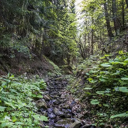 Hotel Zywiecki Medical & Sport Zywiec 4*