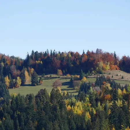 Hotel Zywiecki Natura & Spa Готель