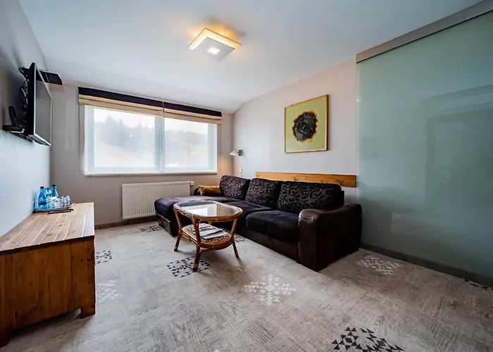 Zywiecki Medical & Sport Zywiec Hotel 4*