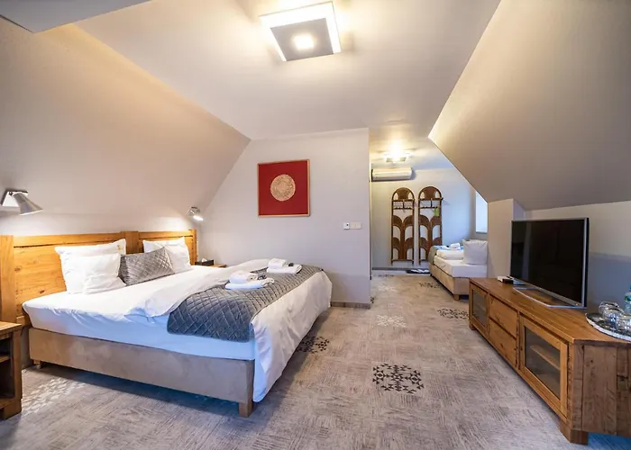 Hotel Hotel Zywiecki Medical Spa & Sport Zywiec 4*