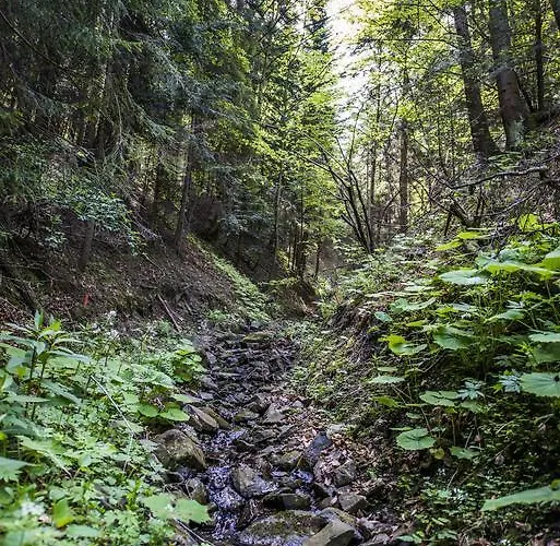 Hotel Zywiecki Medical & Sport Zywiec 4*