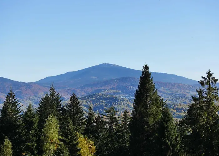 Zywiecki Medical & Sport Zywiec 4* Przylekow