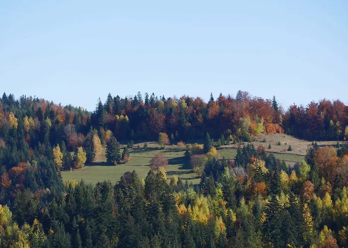 Zywiecki Medical & Sport Zywiec Hotel