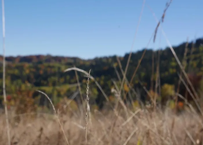 Hotel Zywiecki Medical & Sport Zywiec