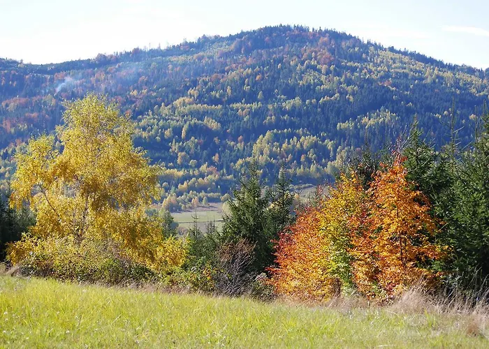 Zywiecki Medical & Sport Zywiec